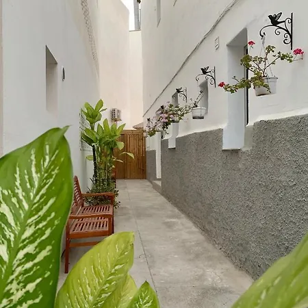 Apartment Lux Solarium Petite